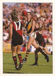 1990 Select AFL Stickers #188 Paul Morrish Front
